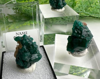¡Tú eliges! Muestra de racimo de cristales de dioptasa natural en bruto con una caja atractiva.