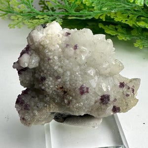 May include: A set of three ceramic mugs with a speckled, matte finish. Each mug features a different color: light blue, cream, and gray. The mugs have a simple, modern design with a rounded shape and a comfortable handle.