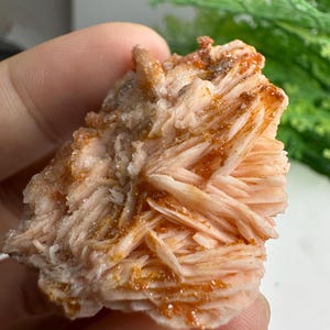Può includere: Primo piano di un campione minerale con una struttura a strati a forma di ventaglio. Il minerale è di colore pesca chiaro con striature arancioni e marroni e una consistenza cristallina. Lo sfondo è sfocato.