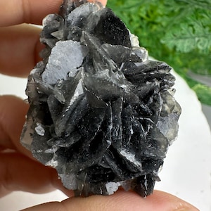 Calcita rosa negra con goethita y pirita Daye Hubei China BAOF442