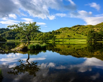 Lake District reflection photo, lone tree reflected in Rydal Water, photographic print or ready to hang canvas