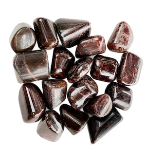 May include: A collection of polished, dark red garnet stones. The stones vary in size and shape, with smooth, rounded edges and a glossy finish. The gemstones are arranged against a white background, highlighting their rich color and natural beauty.