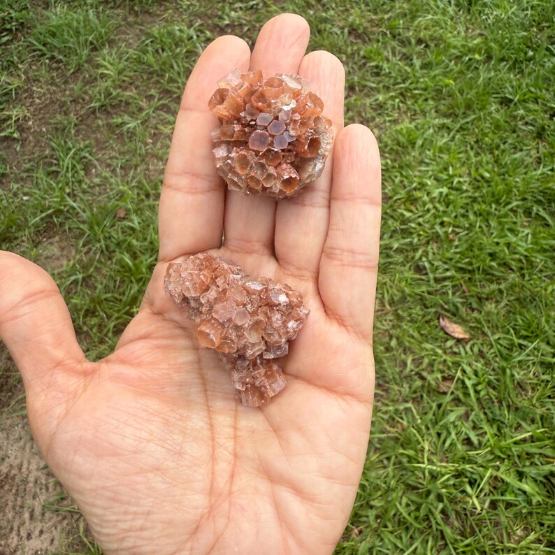 May include: Two clusters of aragonite crystals, one round and one irregular, are held in a hand. The crystals are a warm, earthy brown color, with a textured, honeycomb-like appearance. The background is green grass.