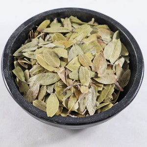Uva Ursi, Bärentraube, Arctostaphylos uva ursi- Psychische Kräfte