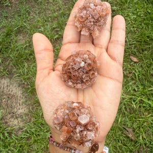May include: Three clusters of aragonite crystals, each with a spherical shape and a warm, reddish-brown hue. The crystals are held in an open hand against a backdrop of green grass.