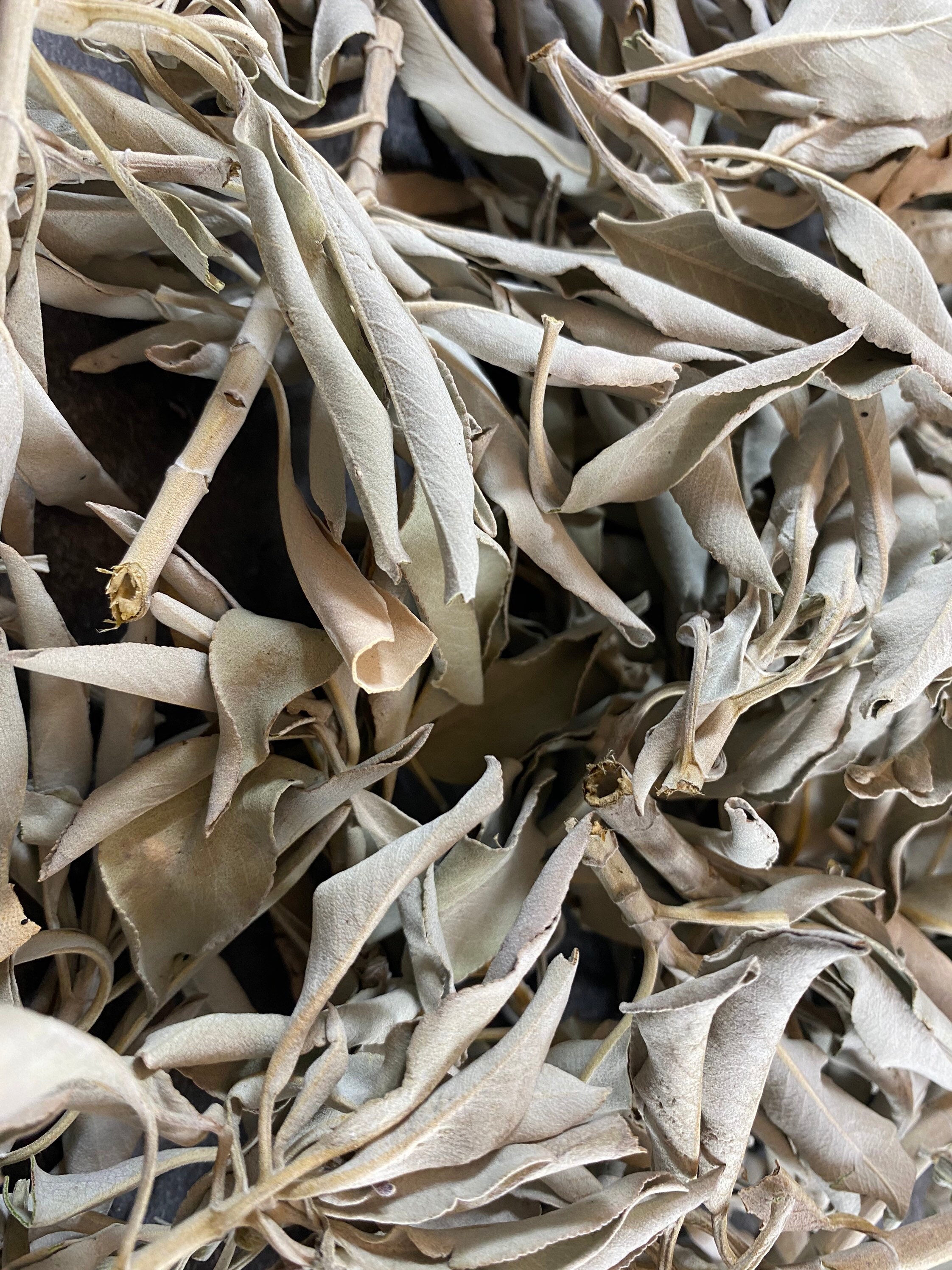 White Sage Loose Leaves/ Bulk  White Sage/ Ceremonial/ Native American