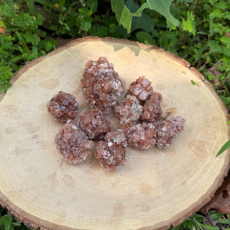 May include: A collection of reddish-brown aragonite mineral specimens. The crystals have a clustered, spherical shape and are displayed on a light-colored wooden surface. The natural setting includes green foliage.