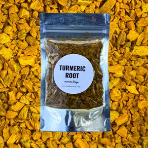 Raíz de cúrcuma: cúrcuma entera seca, hierba culinaria y artesanal: especias, té y proyectos de bricolaje.