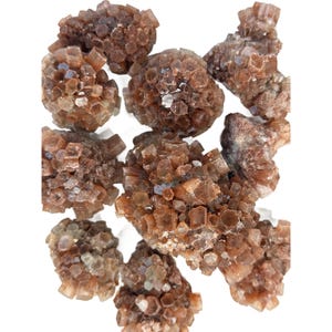 May include: A collection of brown aragonite mineral specimens. The aragonite crystals have a clustered, radial structure, with a mix of light and dark brown hues. The crystals are arranged against a white background.