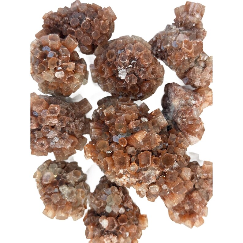 May include: A collection of brown aragonite mineral specimens. The aragonite crystals have a clustered, radial structure, with a mix of light and dark brown hues. The crystals are arranged against a white background.