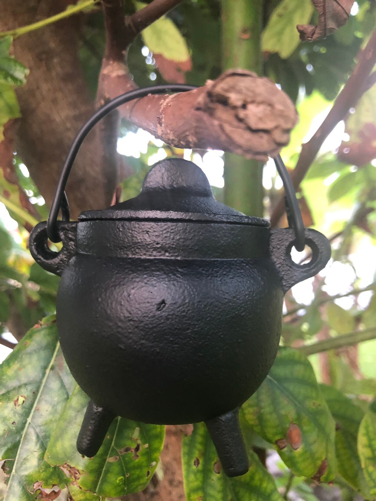 Smudge Pot for sale compared to CraigsList Only 2 left at 65