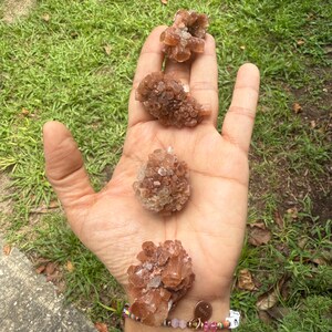 May include: Four clusters of reddish-brown aragonite crystals are displayed in an open hand against a backdrop of green grass. The crystals vary in size and shape, showcasing their natural formations. A beaded bracelet with a gold charm is visible on the wrist.