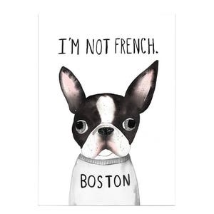 I'm Not French Boston A3 Art Print