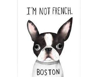 I'm Not French Boston A3 Art Print