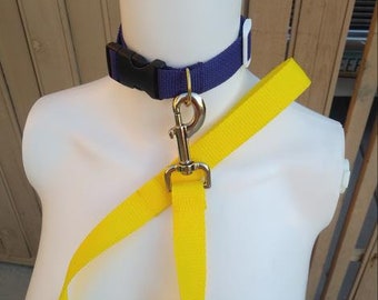 Non-Binary Collar & Leash Set LGBT nb enby choker bondage bdsm human pup puppy play pet dog furry fetish kink yellpw purple unisex queer emo