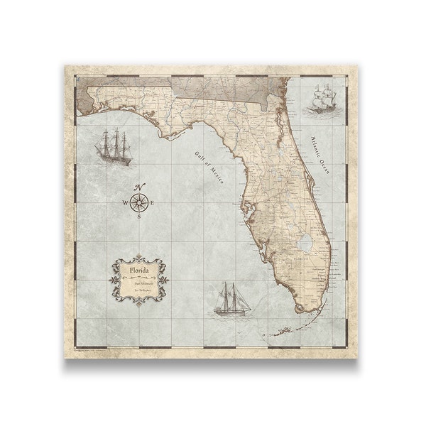 Florida Travel Push Pin State Map - Rustic Vintage Cork Pin Board Canvas (Rustic Vintage Style)