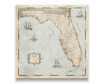 Florida Travel Push Pin State Map - Rustic Vintage Cork Pin Board Canvas (Rustic Vintage Style)