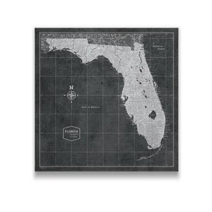 Florida Travel Push Pin State Map - Modern Cork Pin Board Canvas (Modern Slate Style)