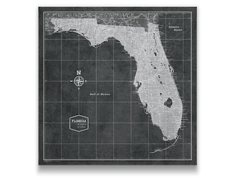 Florida Travel Push Pin State Map - Modern Cork Pin Board Canvas (Modern Slate Style)