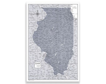 Push Pin Illinois Map Pin Board Light Gray Color Splash