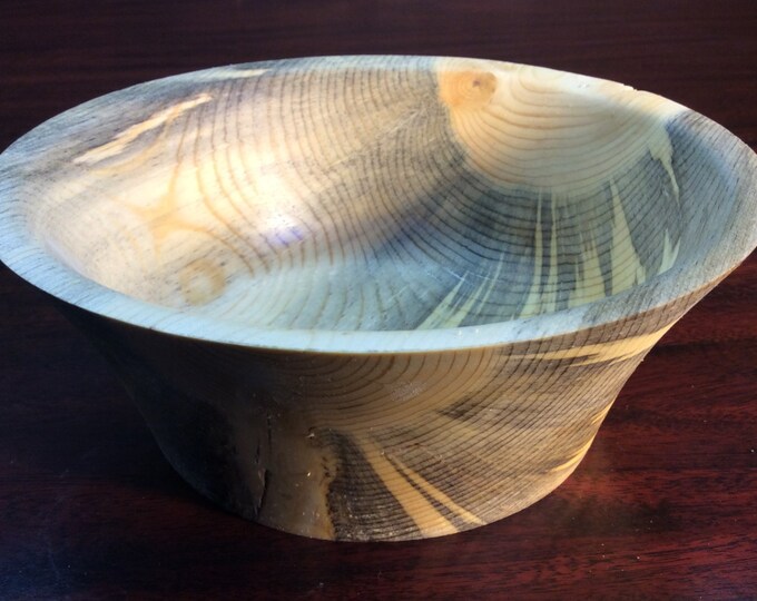 Colorado Beetle Kill Pine, Flared Shape - Etsy