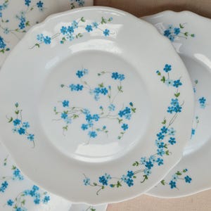 Set of 6 Vintage Arcopal dinner plates, Arcopal Veronica plates 23.5 cm, retro Arcopal plates, vintage dinner plates