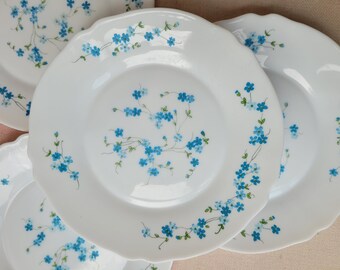 Lot De 6 Assiettes à Dessert Arcopal - Motif Hortense Fleuri - Années 70 - Occasion