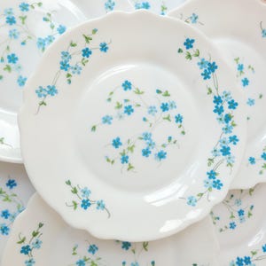 Set of 6 Vintage Arcopal breakfast plates, Arcopal Veronica plates 19 cm,