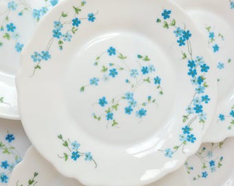 Set of 6 Vintage Arcopal breakfast plates, Arcopal Veronica plates 19 cm,