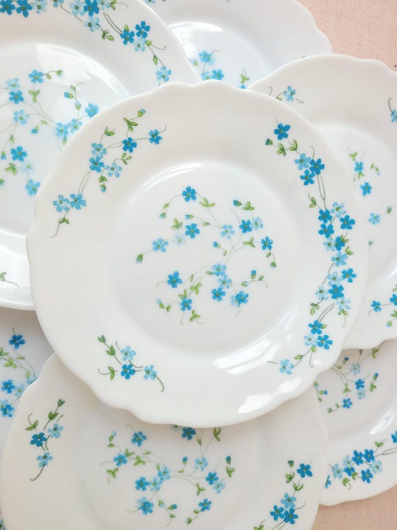 Juego de 6 platos de desayuno Vintage Arcopal platos arcopal Veronica 19 cm Etsy Mexico