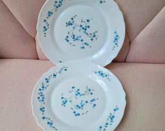 Set of 2 Vintage Arcopal XL flat serving dishes, serving plates, Arcopal Veronica dish 29 cm, retro Arcopal plates, vintage dinner plates