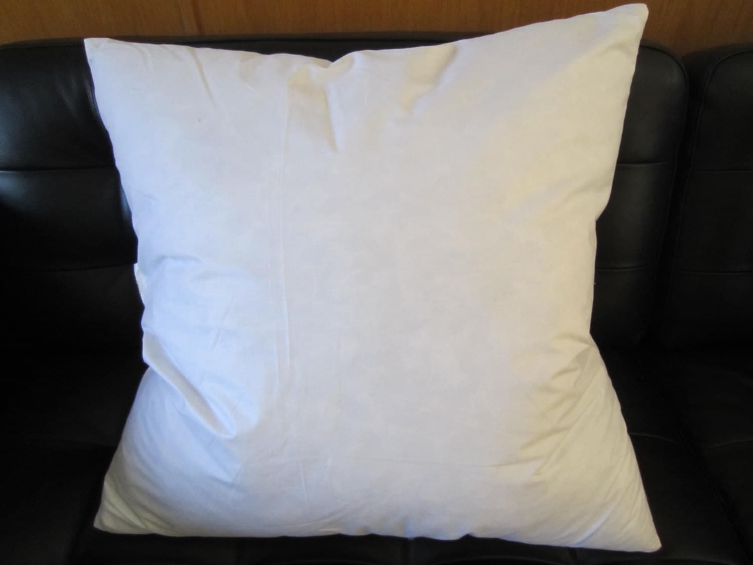 Pottery Barn Square Throw Pillow Insert 95% Feather 5% Down 22 oz 18x18  White