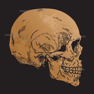 May include: A detailed illustration of a human skull in profile, rendered in a gold colour with a textured background.