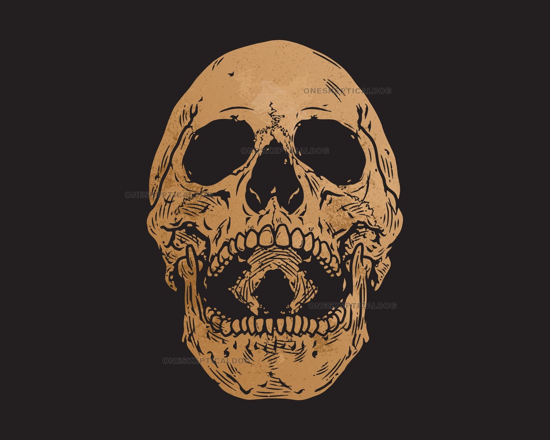 Skull Laughing, Memento Mori, Vector Illustration, Clipart, EPS