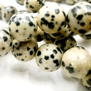 20 Dalmatian Jasper Gemstone Beads Jewelry Supplies DJGB10MM-20ORG-1