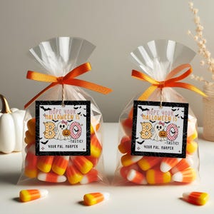 May include: Two clear cellophane bags filled with candy corn, tied with orange ribbons. Each bag has a tag that reads "Hope Your Halloween Is BOO -tastic!" with a ghost and pumpkin graphic. The text "Your Pal, Harper" is also included.