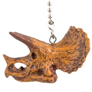 May include: A detailed, brown and tan triceratops skull pendant with a metal chain. The pendant has a textured surface and is suspended from a silver-colored ball chain. The dinosaur skull features horns and eye sockets.