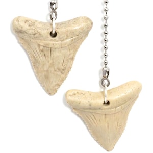 May include: Two off-white, shark tooth-shaped fan pulls with silver-colored ball chains. The teeth have detailed ridges and a hole for the chain attachment. The background is plain white.