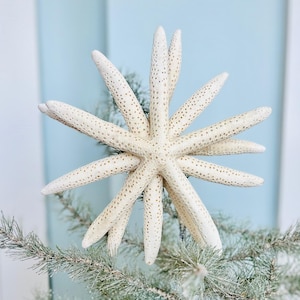 Könnte beinhalten: Ein großer, weißer Seestern mit strukturierter Oberfläche wird als Christbaumspitze verwendet. Der Seestern befindet sich oben auf einem grünen Tannenbaum.
