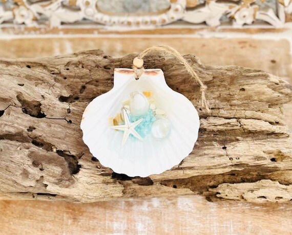 Scallop Shell Christmas Ornament, Starfish Ornament, Christmas Tree, Seashell Ornament, Coastal Holiday, Beachy Christmas, Beach House, Gift