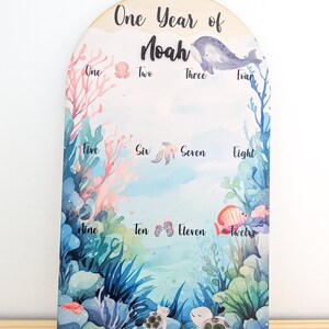 My first year photo board, 1st birthday board, Milestone sign, My 1st year sign, My first year sign, First year photo sign, Milestone board Under the Sea