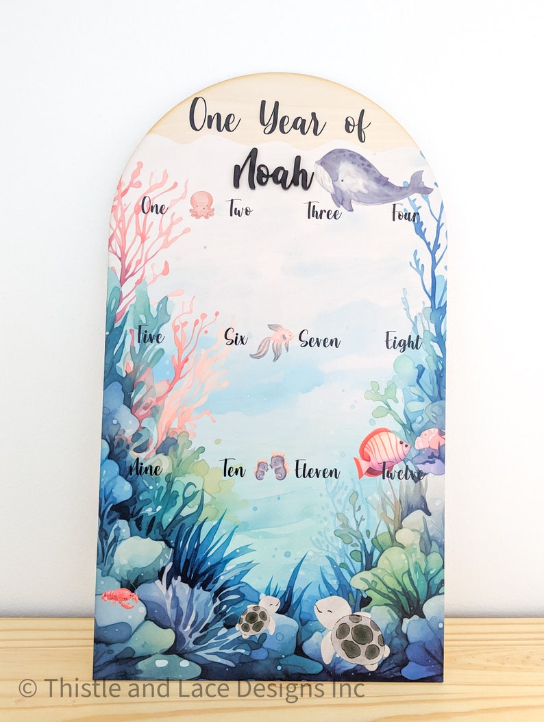 My first year photo board, 1st birthday board, Milestone sign, My 1st year sign, My first year sign, First year photo sign, Milestone board Under the Sea