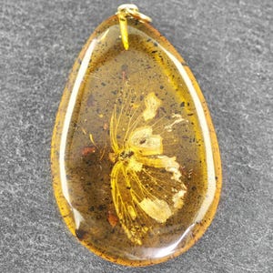 Copal With an Insect Pendant