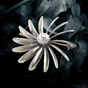 May include: A silver-toned daisy flower brooch with a central spherical detail and elongated petals. The brooch has a pin closure on the back. The flower is set against a dark green leafy background.