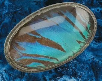 England Sterling Silver Brooch Oval Iridescent Butterfly Wing