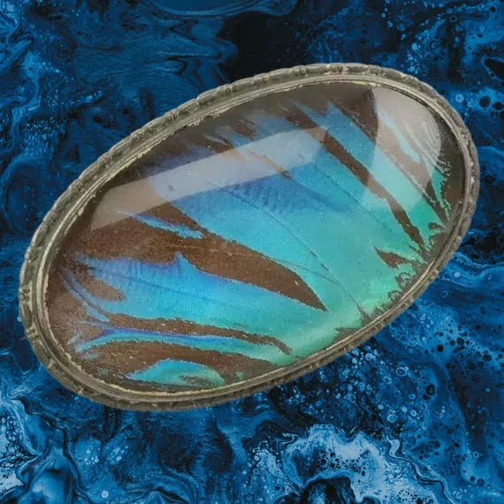 England Sterling Silver Brooch Oval Iridescent Butterfly Wing