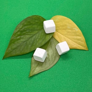 Puede incluir: Tres cubos de azúcar blancos cuadrados sobre hojas verdes y amarillas.