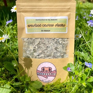 BC Crushed Oyster Shells Calcium Supplement for Isopods, Hermit Crabs, Snails and other Invertebrates