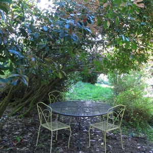 Vintage Patio Set Wire Mesh Outdoor Dining Table and Chairs French Country Shabby Chic Wrought Iron Furniture Metal Dining Set Rusty Metal image 2