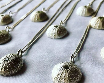 Medium size Silver sea urchin necklace